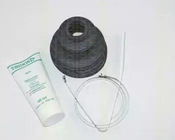triscan-854016902