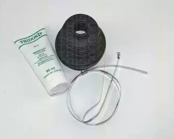 triscan-854016903
