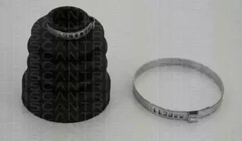 triscan-854016908