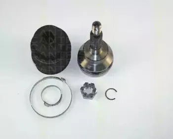 triscan-854017102