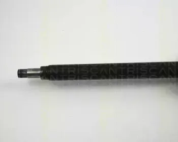 triscan-854023513