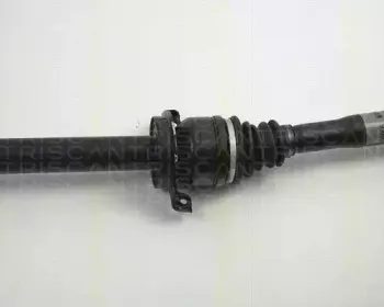triscan-854023513