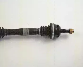 triscan-854023513