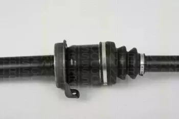 triscan-854023533