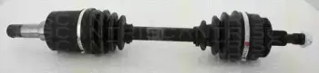 triscan-854023534