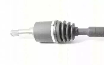 triscan-854023535