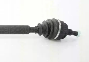 triscan-854023535
