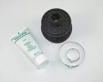 triscan-854023701