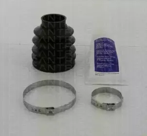 triscan-854023807