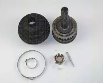 triscan-854024110