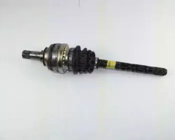 triscan-854024204