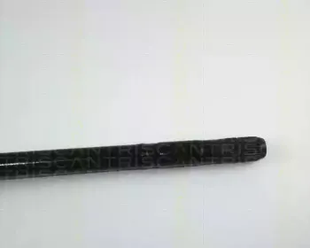 triscan-854024205