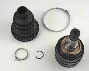 triscan-854024208