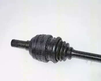 triscan-854024516