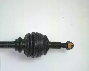 triscan-854024516