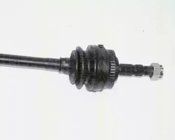 triscan-854024521