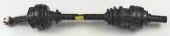 triscan-854024539