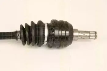 triscan-854024546