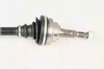 triscan-854024547