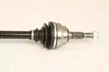 triscan-854024548