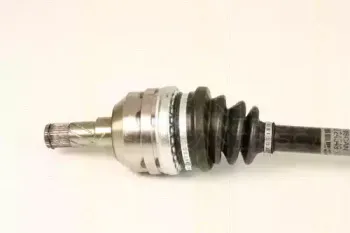 triscan-854024549