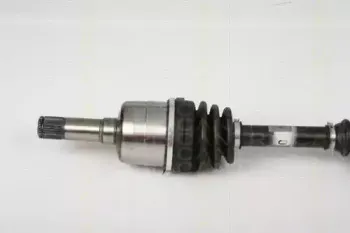 triscan-854024552
