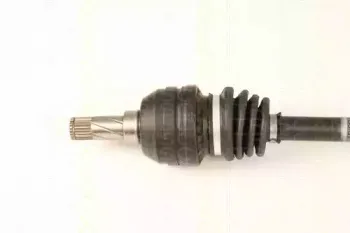 triscan-854024554