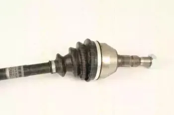 triscan-854024554