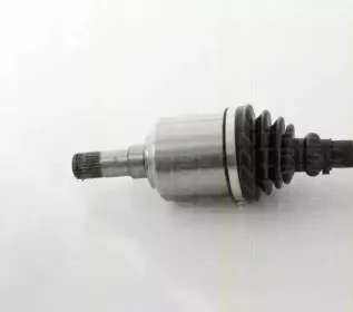 triscan-854024563