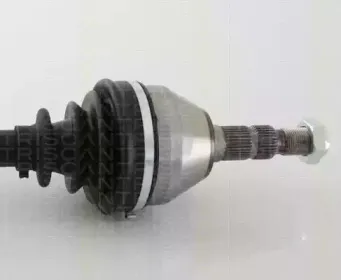 triscan-854024563