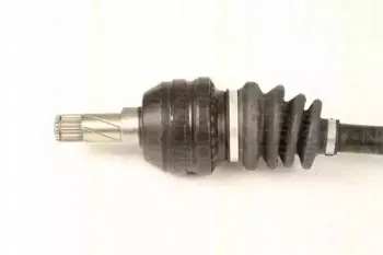triscan-854024567