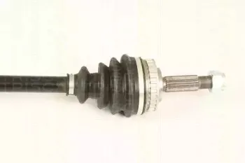 triscan-854024568
