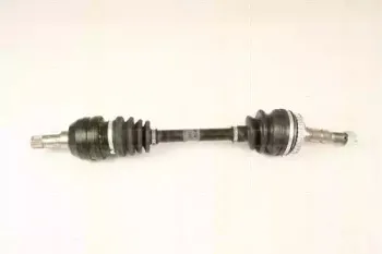 triscan-854024569