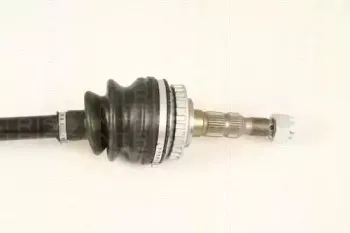 triscan-854024569