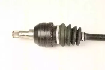 triscan-854024570