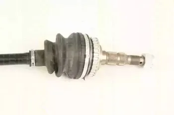 triscan-854024570