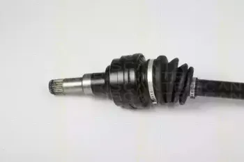 triscan-854024581