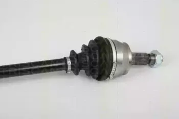 triscan-854024581