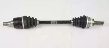 triscan-854024584