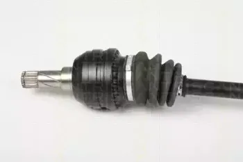 triscan-854024587