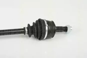 triscan-854024587
