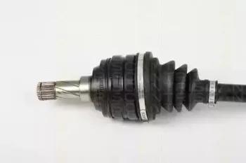 triscan-854024588