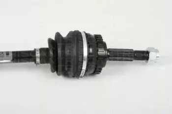 triscan-854024588