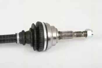 triscan-854024592