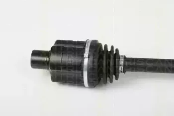 triscan-854024593