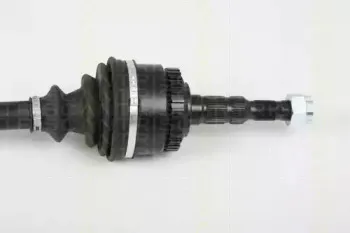 triscan-854024593
