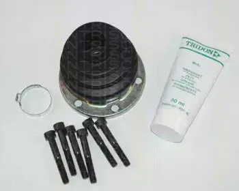 triscan-854024702