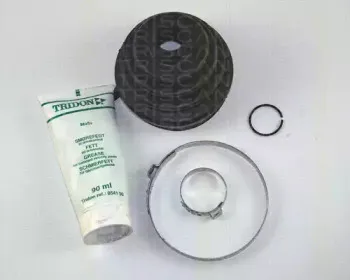 triscan-854024803