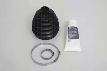 triscan-854024817