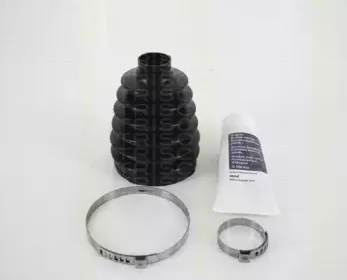 triscan-854024819